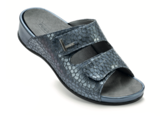 Podartis Tortoise Navy